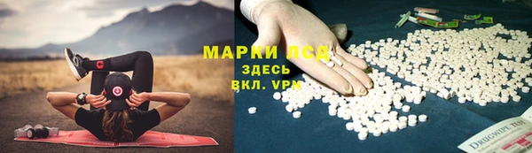 ГАЛЛЮЦИНОГЕННЫЕ ГРИБЫ Беломорск