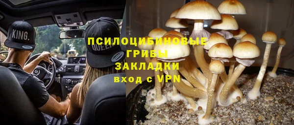 ГАЛЛЮЦИНОГЕННЫЕ ГРИБЫ Беломорск