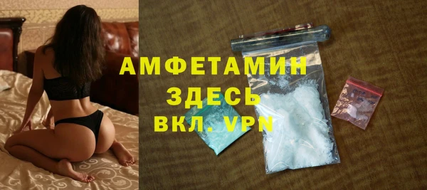 ГАЛЛЮЦИНОГЕННЫЕ ГРИБЫ Тавда