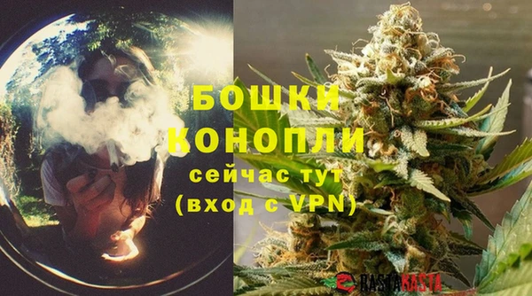ГАЛЛЮЦИНОГЕННЫЕ ГРИБЫ Беломорск