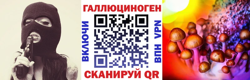 Псилоцибиновые грибы Psilocybe  Вельск 